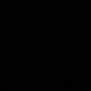 Meet your Posher, Noah